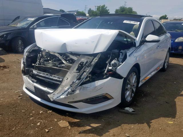 5NPE34AF6FH176716 - 2015 HYUNDAI SONATA SPO WHITE photo 2