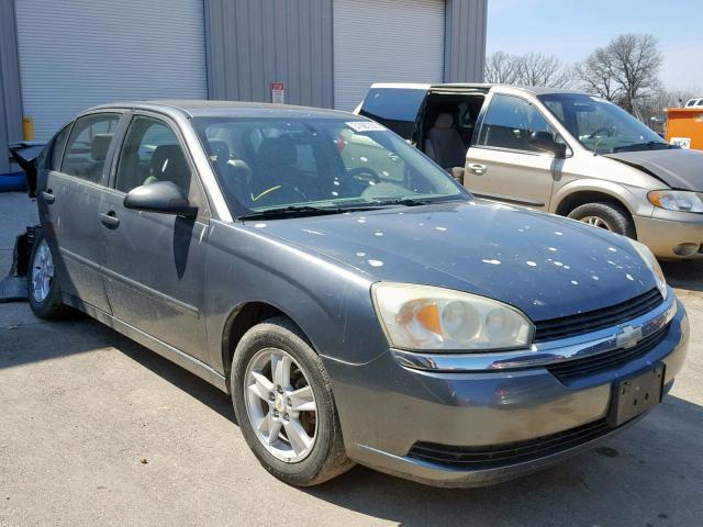 1G1ZT54855F207184 - 2005 CHEVROLET MALIBU LS GREEN photo 1