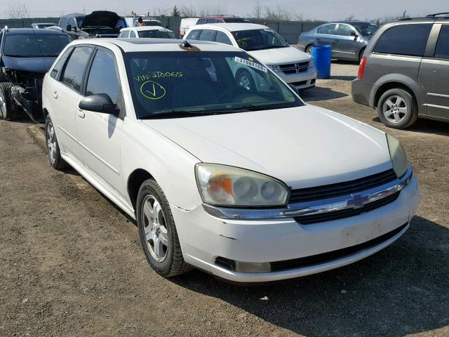 1G1ZU64885F210065 - 2005 CHEVROLET MALIBU MAX WHITE photo 1