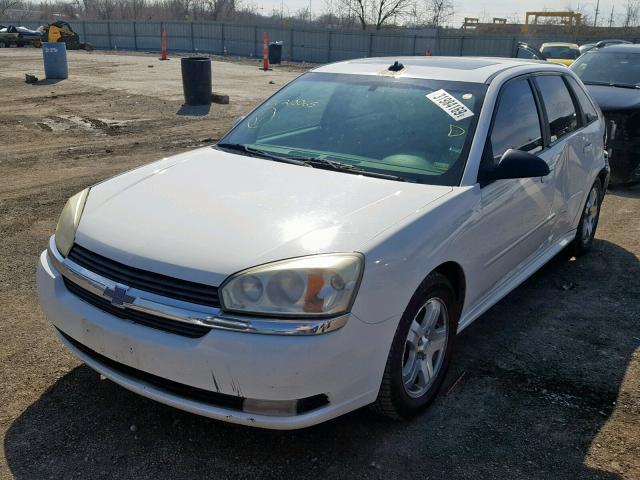 1G1ZU64885F210065 - 2005 CHEVROLET MALIBU MAX 白色 照片 2