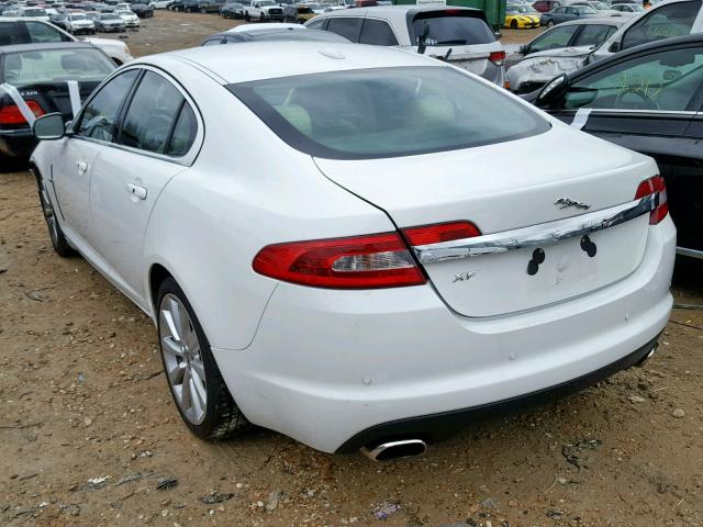 SAJWA0GB3BLS06267 - 2011 JAGUAR XF PREMIUM WHITE photo 3