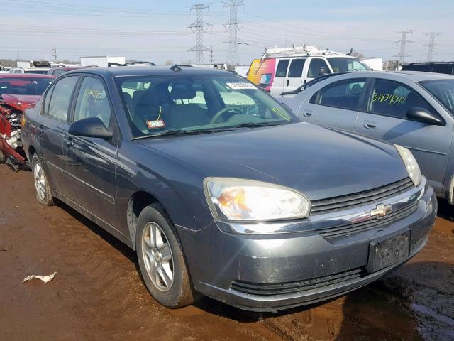 1G1ZT54855F290034 - 2005 CHEVROLET MALIBU LS GRAY photo 1