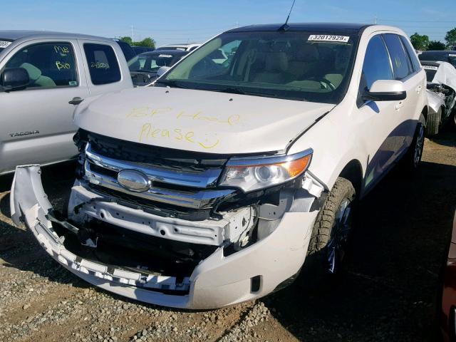 2FMDK4KC6BBB48449 - 2011 FORD EDGE LIMIT WHITE photo 2