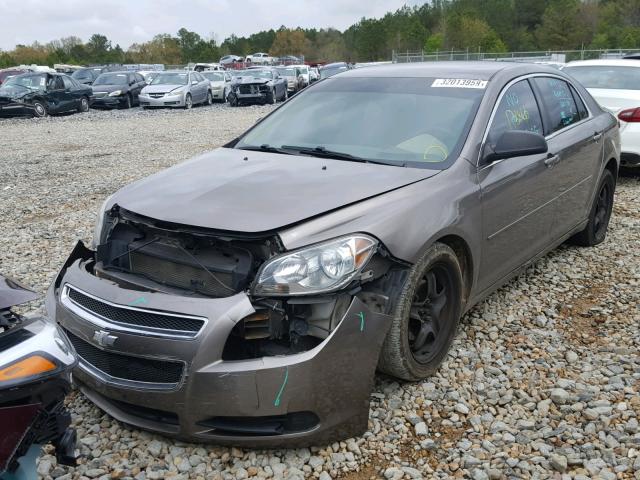 1G1ZB5EB5AF264878 - 2010 CHEVROLET MALIBU LS TAN photo 2