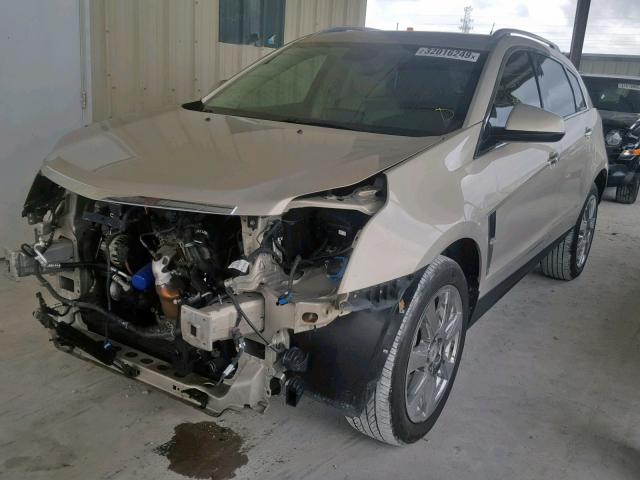 3GYFNBE32CS556330 - 2012 CADILLAC SRX PERFOR კრემისფერი ფოტო 2