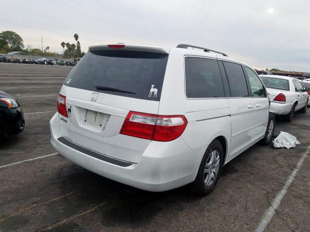 5FNRL38767B437403 - 2007 HONDA ODYSSEY EXL  photo 4