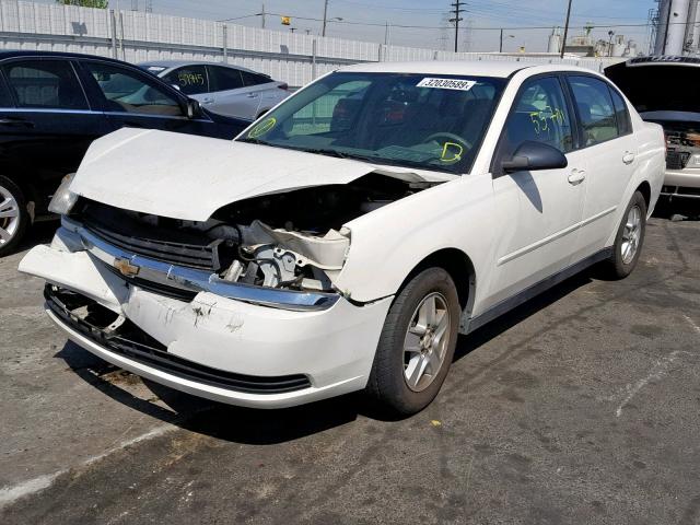 1G1ZT54835F197898 - 2005 CHEVROLET MALIBU LS 白色 照片 2