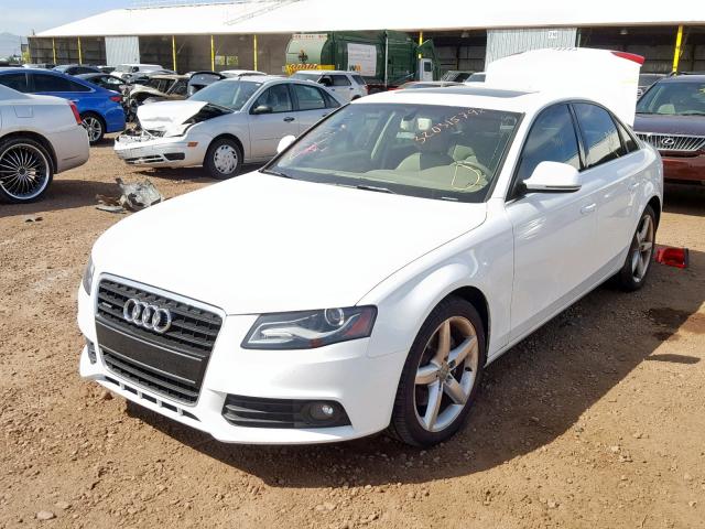 WAUMK78K49N044994 - 2009 AUDI A4 PRESTIG WHITE photo 2