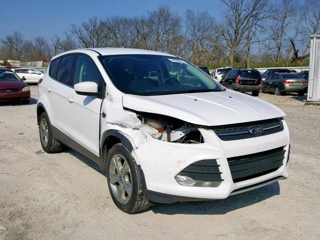 1FMCU9GX5DUA24751 - 2013 FORD ESCAPE SE WHITE photo 1