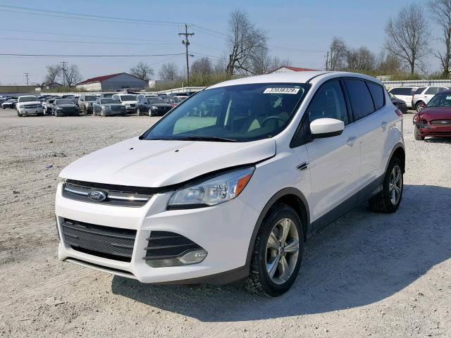 1FMCU9GX5DUA24751 - 2013 FORD ESCAPE SE WHITE photo 2