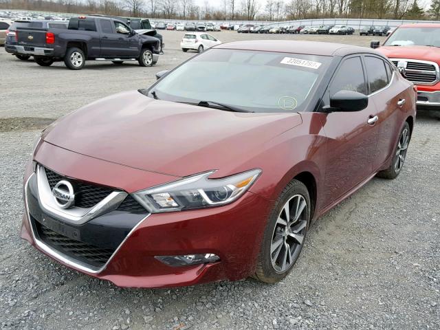 1N4AA6AP0GC395540 - 2016 NISSAN MAXIMA 3.5 BURGUNDY photo 2