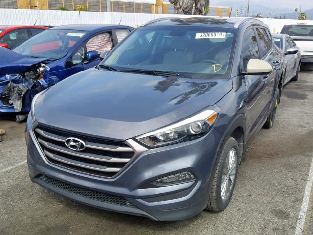 KM8J33A44GU223770 - 2016 HYUNDAI TUCSON LIM GRAY photo 2