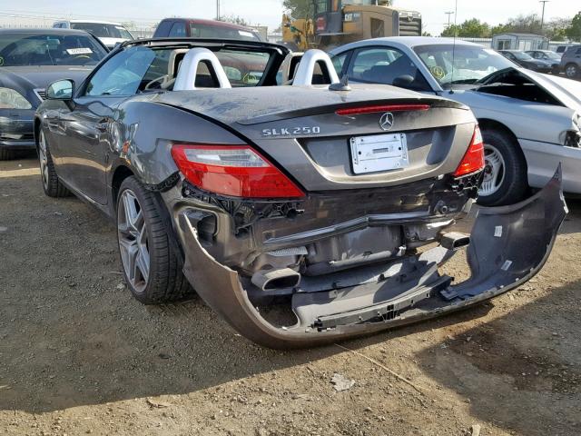 WDDPK4HA3DF058786 - 2013 MERCEDES-BENZ SLK 250 BROWN photo 3