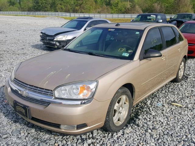 1G1ZU64804F249926 - 2004 CHEVROLET MALIBU MAX GOLD photo 2