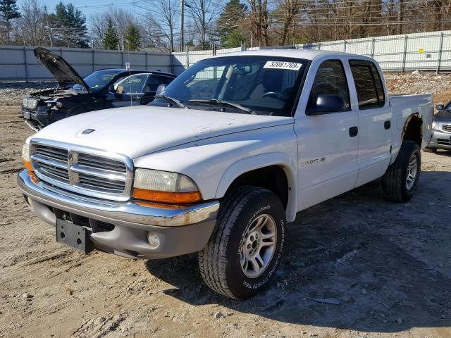 1B7HG48N42S721919 - 2002 DODGE DAKOTA QUA WHITE photo 2