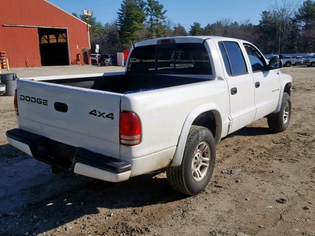 1B7HG48N42S721919 - 2002 DODGE DAKOTA QUA WHITE photo 4