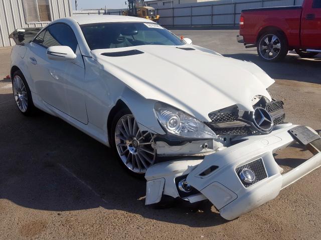 WDBWK5EA2AF232597 - 2010 MERCEDES-BENZ SLK 300  photo 1