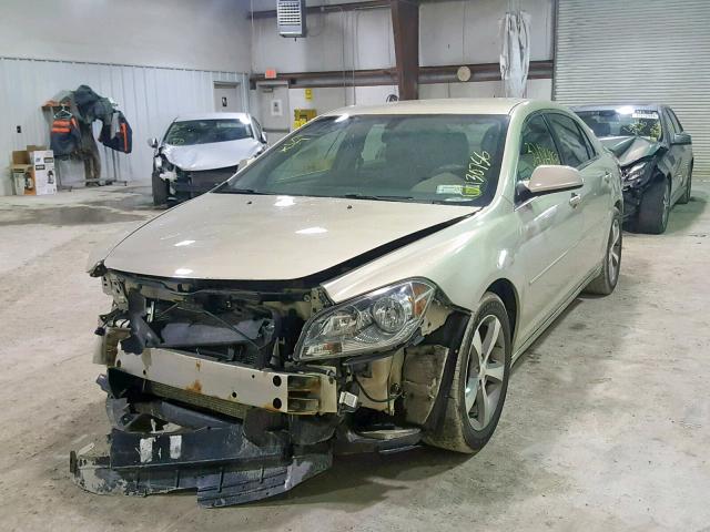 1G1ZC5E12BF116757 - 2011 CHEVROLET MALIBU 1LT 金色 照片 2