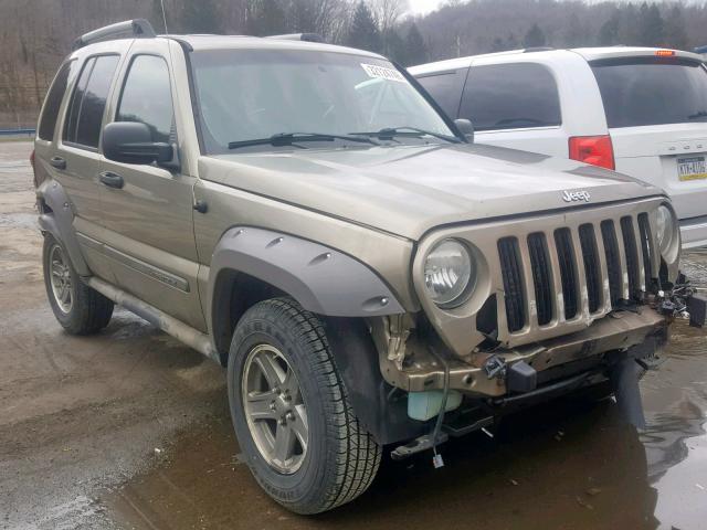 1J4GL38K65W685195 - 2005 JEEP LIBERTY RE TAN photo 1