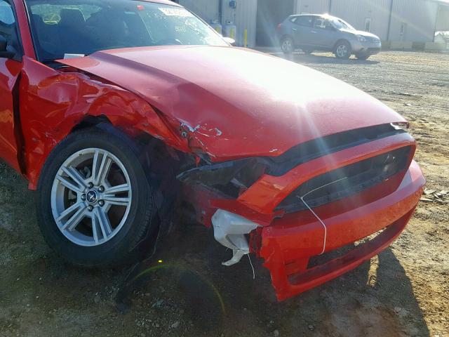 1ZVBP8AM0E5272057 - 2014 FORD MUSTANG RED photo 9