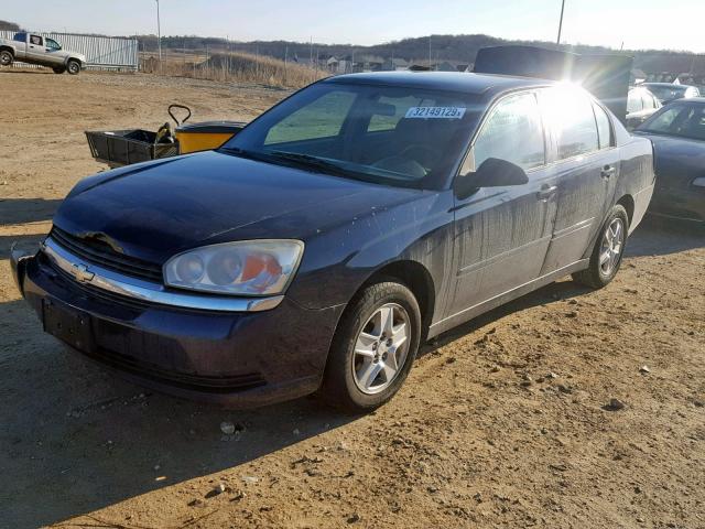1G1ZT528X5F329509 - 2005 CHEVROLET MALIBU LS BLUE photo 2