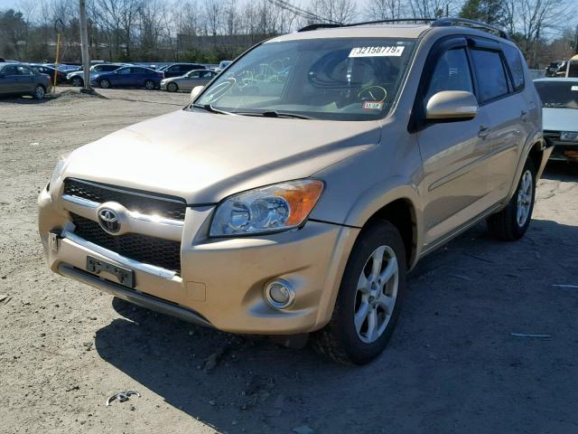 2T3DF4DV2BW130583 - 2011 TOYOTA RAV4 LIMIT GOLD photo 2