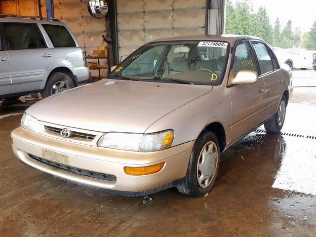 1NXBB02E8TZ434428 - 1996 TOYOTA COROLLA DX GOLD photo 2