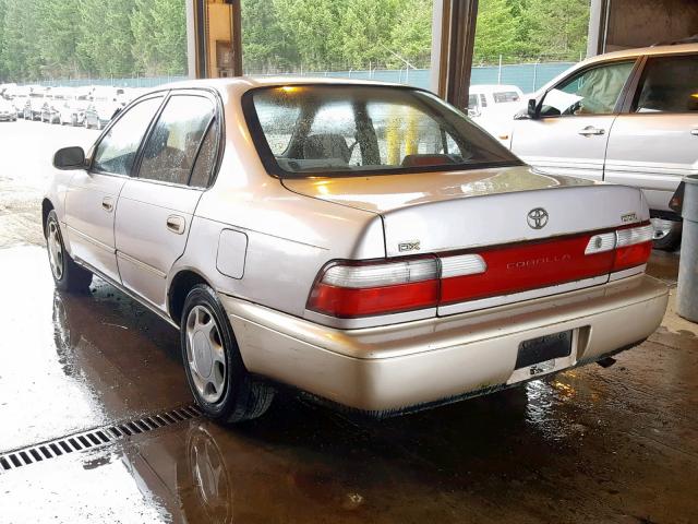 1NXBB02E8TZ434428 - 1996 TOYOTA COROLLA DX GOLD photo 3