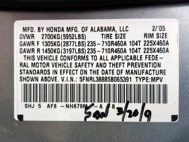 5FNRL38885B065391 - 2005 HONDA ODYSSEY TO TEAL photo 10