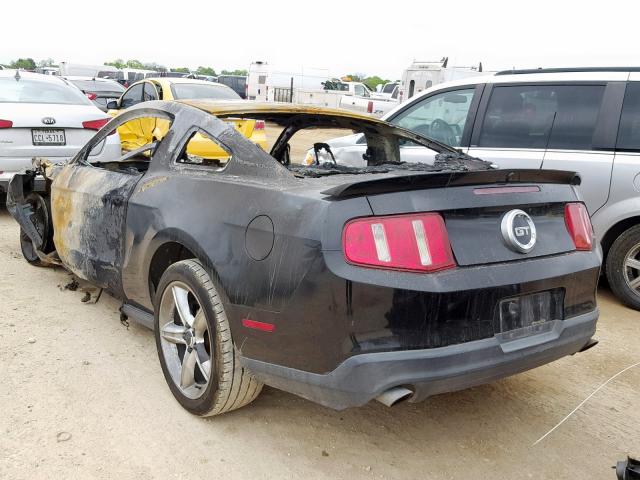 1ZVBP8CH3A5112734 - 2010 FORD MUSTANG GT BLACK photo 3