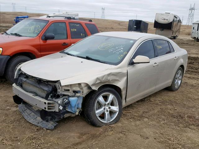 1G1ZC5E09AF256990 - 2010 CHEVROLET MALIBU 1LT TAN photo 2
