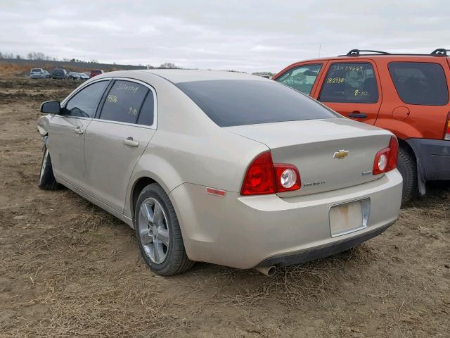 1G1ZC5E09AF256990 - 2010 CHEVROLET MALIBU 1LT TAN photo 3