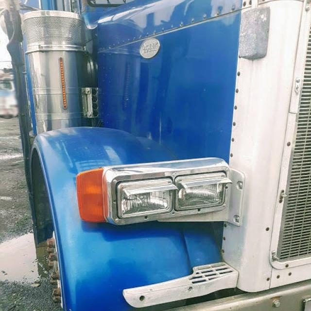 1NP5LB9X7XD500709 - 1999 PETERBILT 379 BLUE photo 6