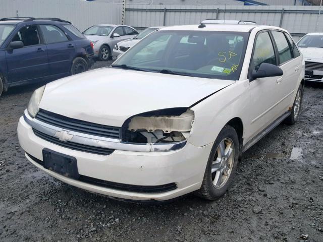 1G1ZT64814F209390 - 2004 CHEVROLET MALIBU MAX 白色 照片 2