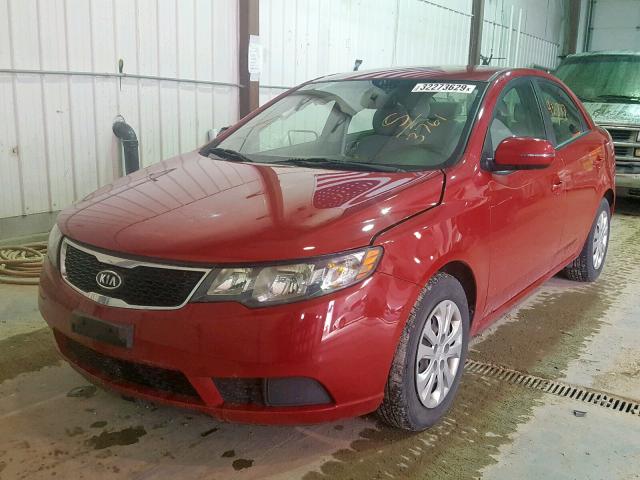 KNAFU4A23D5683761 - 2013 KIA FORTE EX RED photo 2