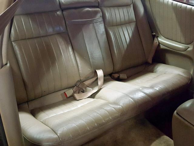 1G2WP12K2XF331099 - 1999 PONTIAC GRAND PRIX BROWN photo 6
