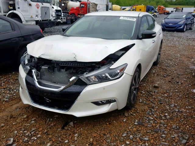 1N4AA6AP0HC365469 - 2017 NISSAN MAXIMA 3.5 WHITE photo 2