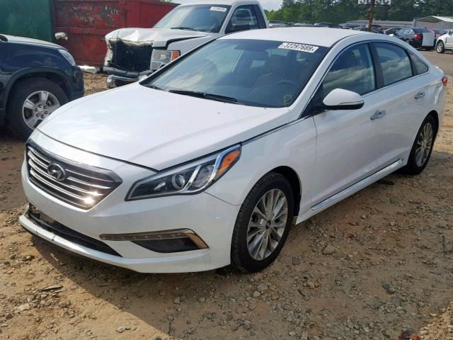 5NPE34AF2FH101124 - 2015 HYUNDAI SONATA SPO WHITE photo 2