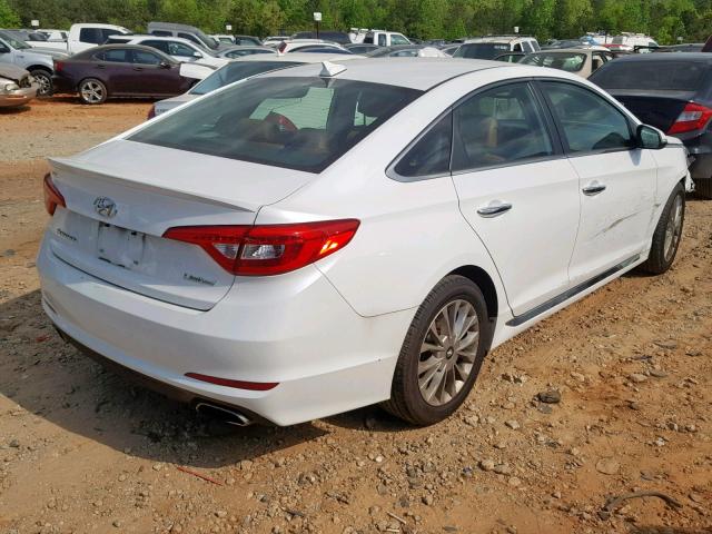 5NPE34AF2FH101124 - 2015 HYUNDAI SONATA SPO WHITE photo 4