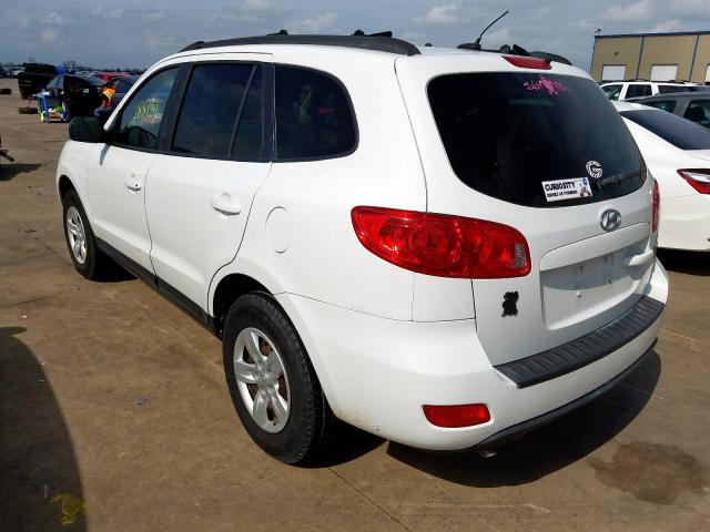 5NMSG13D39H246014 - 2009 HYUNDAI SANTA FE GLS  photo 3