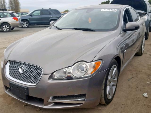 SAJWA05B59HR46774 - 2009 JAGUAR XF LUXURY GRAY photo 2