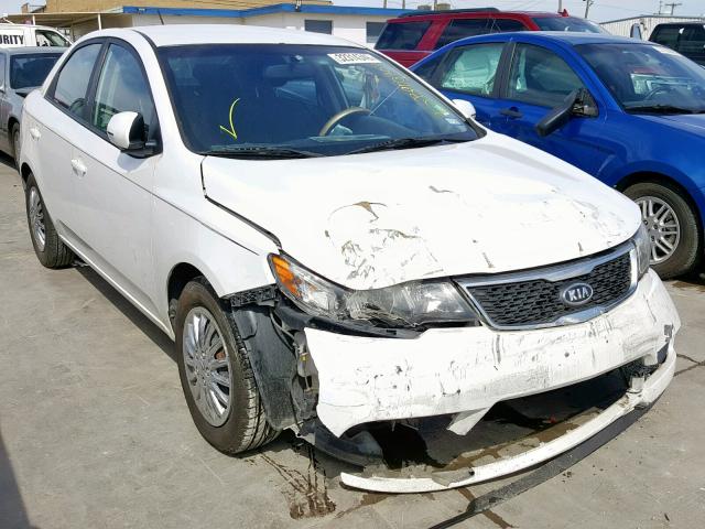 KNAFU4A26C5561023 - 2012 KIA FORTE EX WHITE photo 1