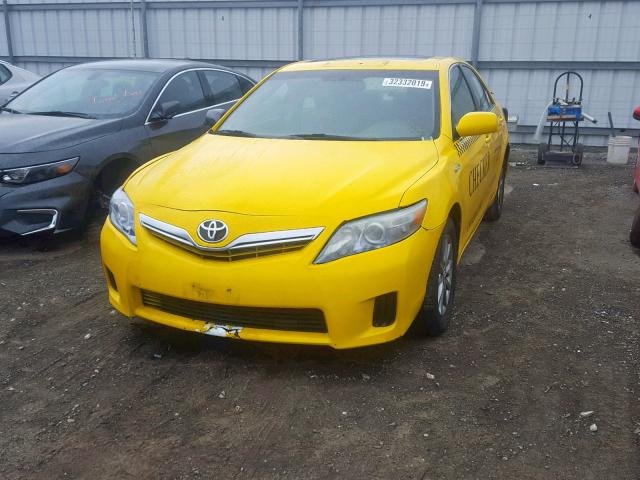 4T1BB3EK5BU141524 - 2011 TOYOTA CAMRY HYBR YELLOW photo 2