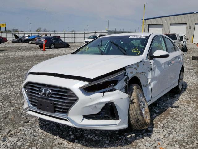 5NPE34AF9JH637996 - 2018 HYUNDAI SONATA SPO WHITE photo 2