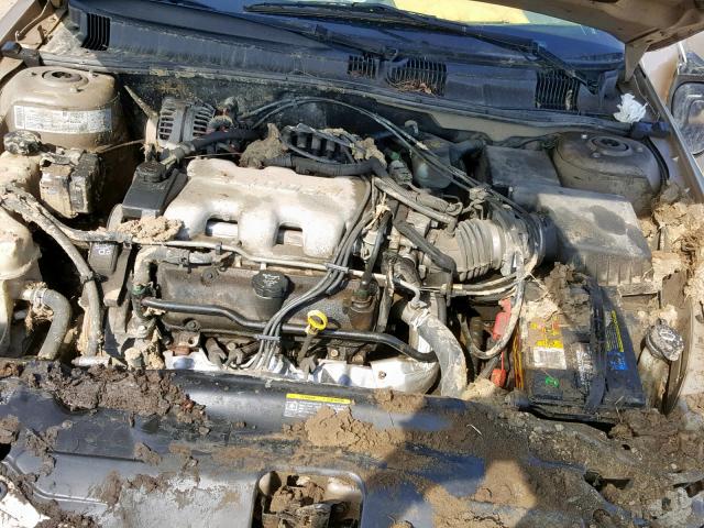 1G2NE52EX5M220814 - 2005 PONTIAC GRAND AM S GOLD photo 7