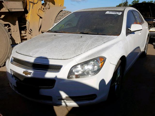 1G1ZH57B09F227051 - 2009 CHEVROLET MALIBU 1LT 白色 照片 2