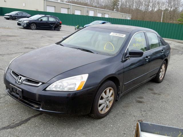 1HGCM66583A026076 - 2003 HONDA ACCORD BLACK photo 2