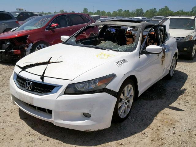 1HGCS22819A005612 - 2009 HONDA ACCORD EXL WHITE photo 2