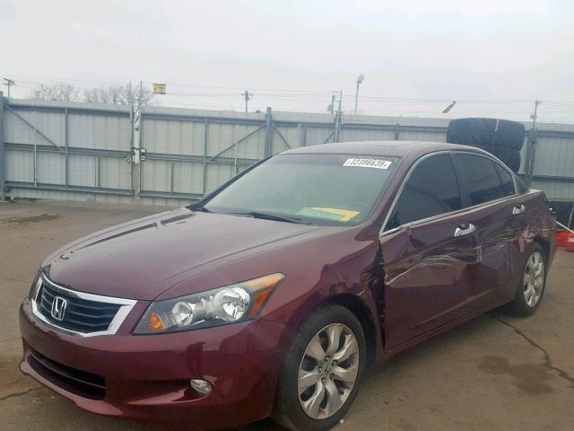 1HGCP36849A006321 - 2009 HONDA ACCORD EXL BURGUNDY photo 2