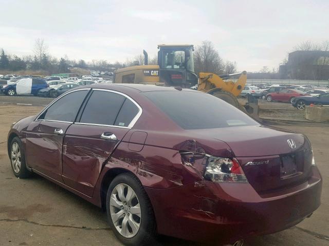 1HGCP36849A006321 - 2009 HONDA ACCORD EXL BURGUNDY photo 3